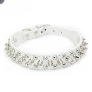 Collier en Cuir Clouté pour Bouledogue Français Pour Bouli Blanc / XS
