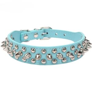 Collier en Cuir Clouté pour Bouledogue Français Pour Bouli bleu clair / XS