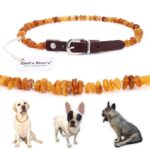 Bouledogue Avenue Collier en Cuir Fait de Pierre Ambre de la Baltique Anti Puces & Tiques ( Testé en Laboratoire )
