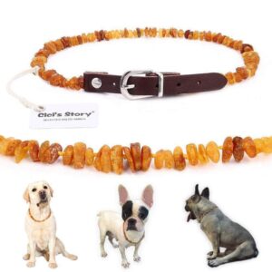 Bouledogue Avenue Collier en Cuir Fait de Pierre Ambre de la Baltique Anti Puces & Tiques ( Testé en Laboratoire )