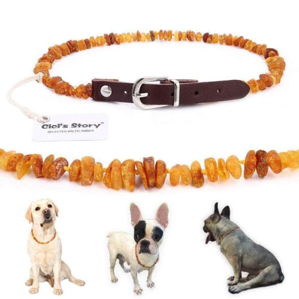 Bouledogue Avenue Collier en Cuir Fait de Pierre Ambre de la Baltique Anti Puces & Tiques ( Testé en Laboratoire )