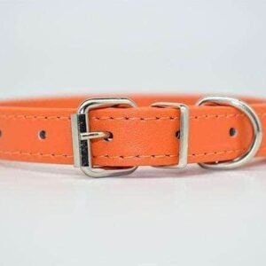Bouledogue Avenue Pour Bouli Collier en cuir