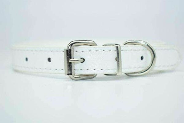 Bouledogue Avenue Pour Bouli Collier en cuir