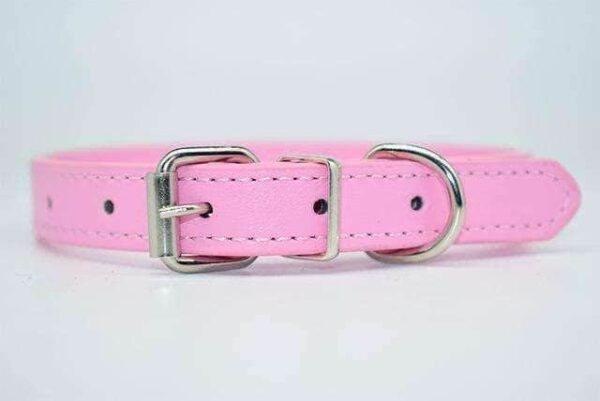 Bouledogue Avenue Pour Bouli Collier en cuir