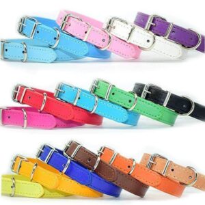Bouledogue Avenue Pour Bouli Collier en cuir