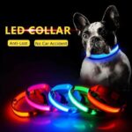 Bouledogue Avenue Pour Bouli Collier LED - Brille dans le Noir