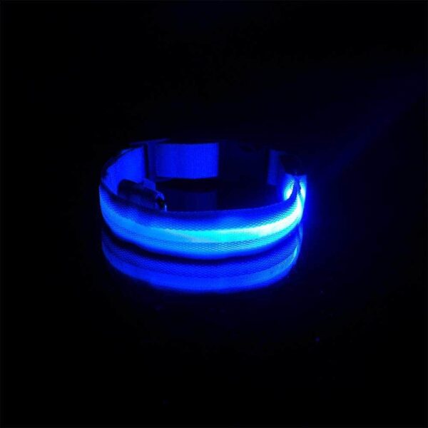 Bouledogue Avenue Pour Bouli Collier LED - Brille dans le Noir