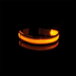 Bouledogue Avenue Pour Bouli Collier LED - Brille dans le Noir
