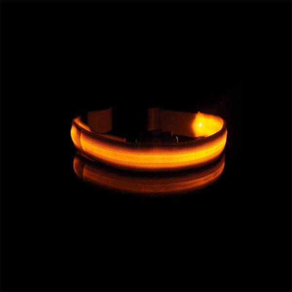 Bouledogue Avenue Pour Bouli Collier LED - Brille dans le Noir