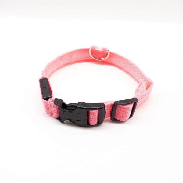 Bouledogue Avenue Pour Bouli Collier LED - Brille dans le Noir
