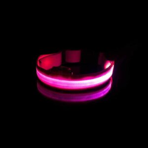 Bouledogue Avenue Pour Bouli Collier LED - Brille dans le Noir