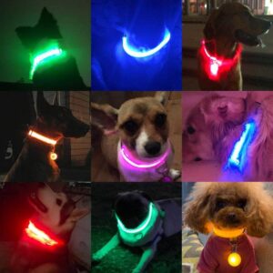 Bouledogue Avenue Pour Bouli Collier LED - Brille dans le Noir