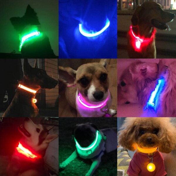 Bouledogue Avenue Pour Bouli Collier LED - Brille dans le Noir