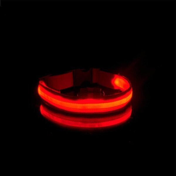 Bouledogue Avenue Pour Bouli Collier LED - Brille dans le Noir