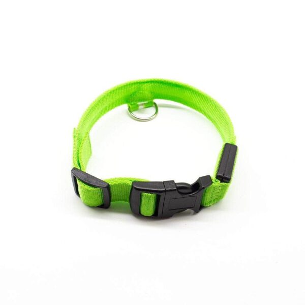 Bouledogue Avenue Pour Bouli Collier LED - Brille dans le Noir