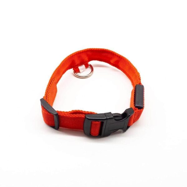 Bouledogue Avenue Pour Bouli Collier LED - Brille dans le Noir