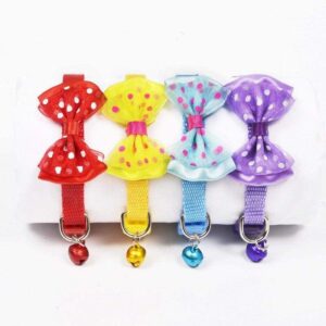 Bouledogue Avenue Pour Bouli Collier Noeud Papillon Ajustable