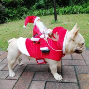Bouledogue Avenue Pour Bouli Costume de Père Noël
