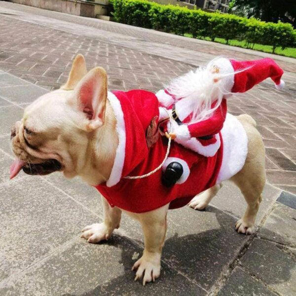 Bouledogue Avenue Pour Bouli Costume de Père Noël