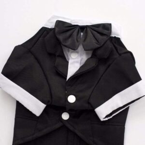 Bouledogue Avenue Pour Bouli Costume de Soirée