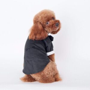 Bouledogue Avenue Pour Bouli Costume de Soirée