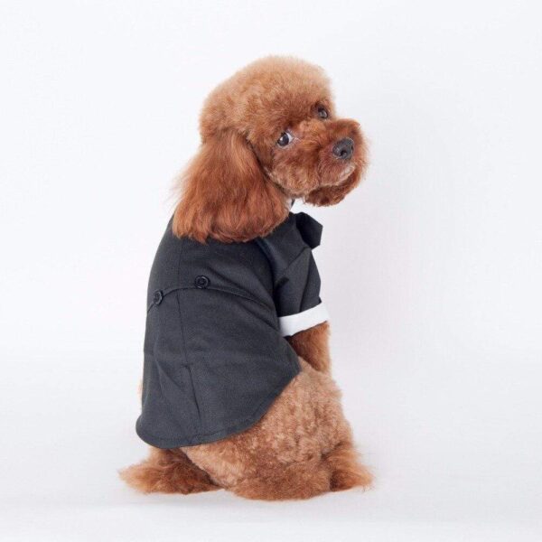Bouledogue Avenue Pour Bouli Costume de Soirée