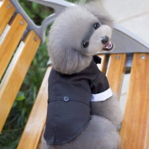 Bouledogue Avenue Pour Bouli Costume de Soirée