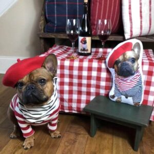 Bouledogue Avenue Pour Chez Vous Coussin Bouledogue Français Personnalisé