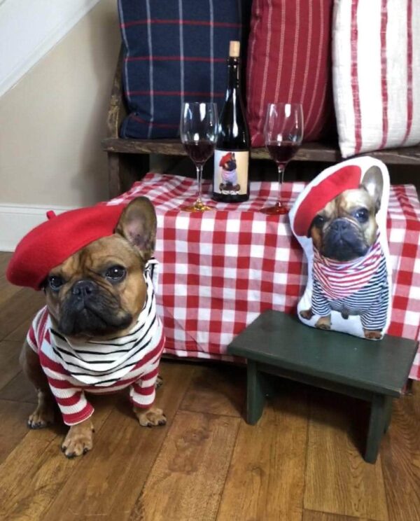 Bouledogue Avenue Pour Chez Vous Coussin Bouledogue Français Personnalisé