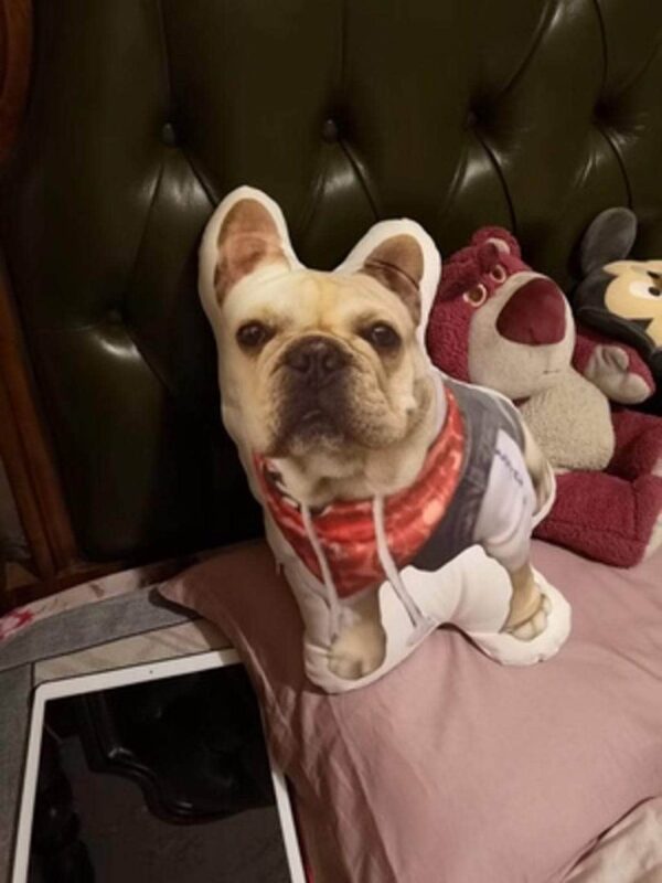 Bouledogue Avenue Pour Chez Vous Coussin Bouledogue Français Personnalisé