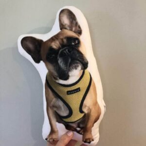 Bouledogue Avenue Pour Chez Vous Coussin Bouledogue Français Personnalisé