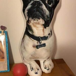 Bouledogue Avenue Pour Chez Vous Coussin Bouledogue Français Personnalisé