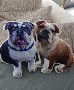Bouledogue Avenue Pour Chez Vous Coussin Bouledogue Français Personnalisé