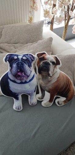 Bouledogue Avenue Pour Chez Vous Coussin Bouledogue Français Personnalisé