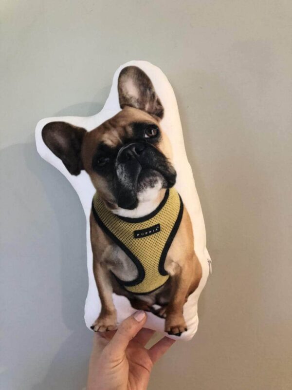 Bouledogue Avenue Pour Chez Vous Coussin Bouledogue Français Personnalisé