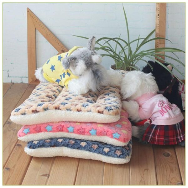 Bouledogue Avenue Pour Bouli Coussin Lit Pour Chien