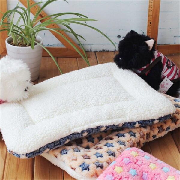 Bouledogue Avenue Pour Bouli Coussin Lit Pour Chien