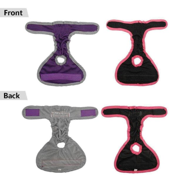 Bouledogue Avenue Pour Bouli Culottes Hygiéniques Noire & Violette