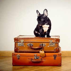 En Voyage