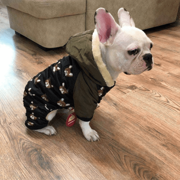 Bouledogue Avenue Pour Bouli Doudoune 4 membres motif Bouledogue