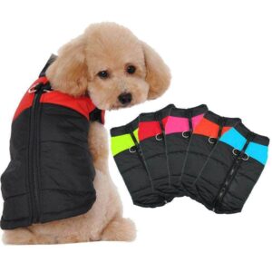 Bouledogue Avenue Pour Bouli Doudoune Waterproof (du S au 5XL)