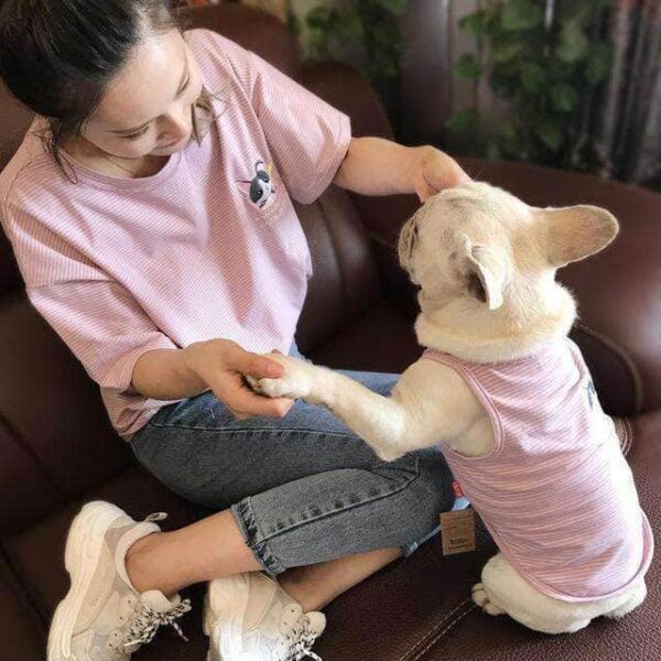 Bouledogue Avenue Rose / 2XL pour Chien + 1 T-Shirt Femme taille unique Ensemble Trop Mignon pour Vous et pour Lui