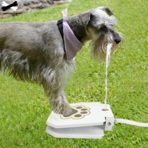 Bouledogue Avenue Pour Bouli Fontaine D'eau Pattes Pression