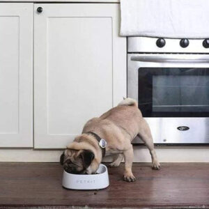Gamelle Balance pour Chien Bouledogue Francais 15 Bouledogue Avenue Gamelle Balance pour Chien