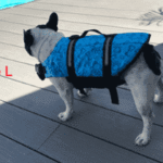 Bouledogue Avenue Gilet de sauvetage pour chien - 11 couleurs