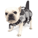 Bouledogue Avenue Gilet de Sauvetage Requin