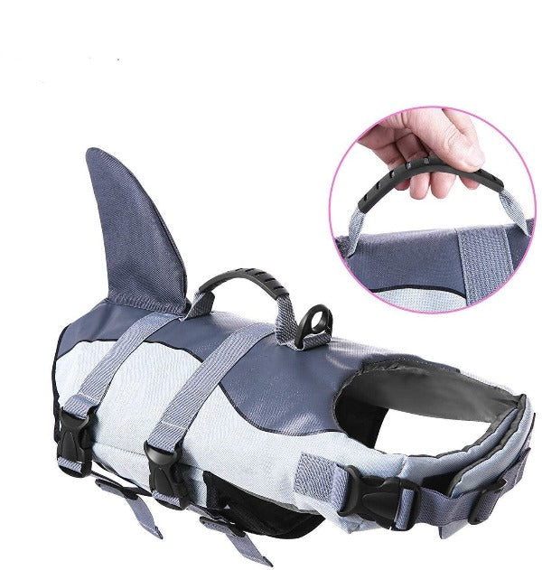 Bouledogue Avenue Gilet de Sauvetage Requin