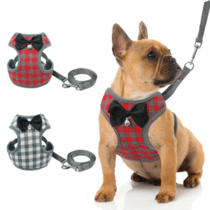 Harnais ajustable Noeud Papillon - Laisse OFFERTE Pour Bouli