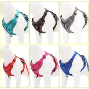 Harnais Anti-Traction et Laisse pour Bouledogue Français harness