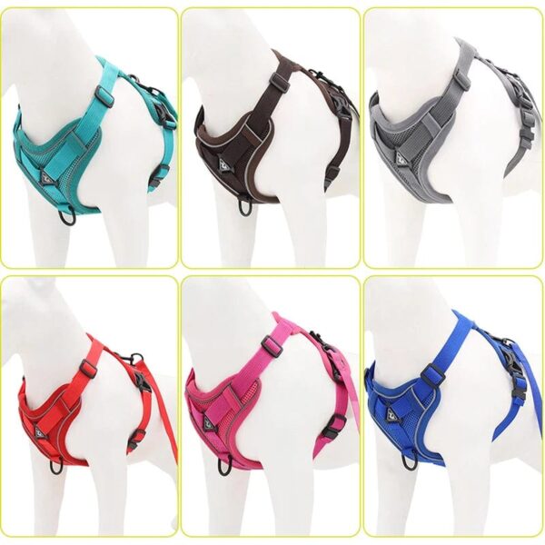Harnais Anti-Traction et Laisse pour Bouledogue Français harness